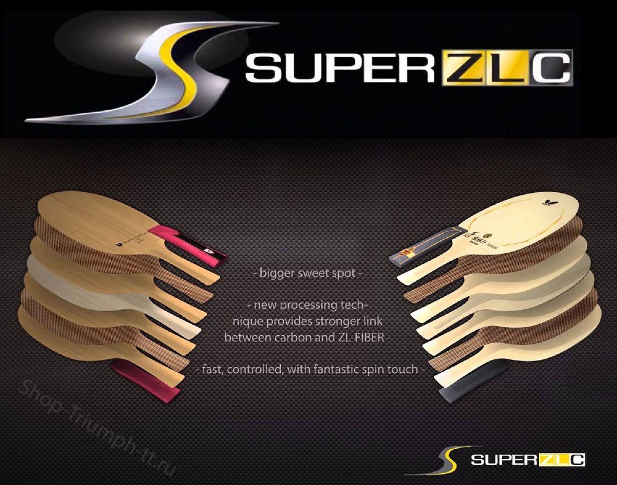 BUTTERFLY Jun Mizutani Super ZLC