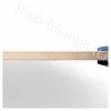 BUTTERFLY Timo Boll Caf Off (Japan)