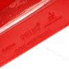 PALIO CJ8000