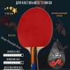 Ракетка ARES KING 4* + чехол