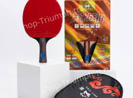 Готовая&nbsp;ракетка для настольного тенниса&nbsp;ARES KING 4****&nbsp;- 4&nbsp;звезды.

Комплект...