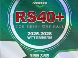 Мячи для настольного тенниса DHS 3*** RS40+ WTT ITTF бел. 6 шт.
