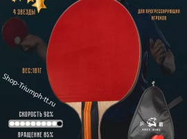Готовая&nbsp;ракетка для настольного тенниса&nbsp;ARES KING 4****&nbsp;- 4&nbsp;звезды.

Комплект...