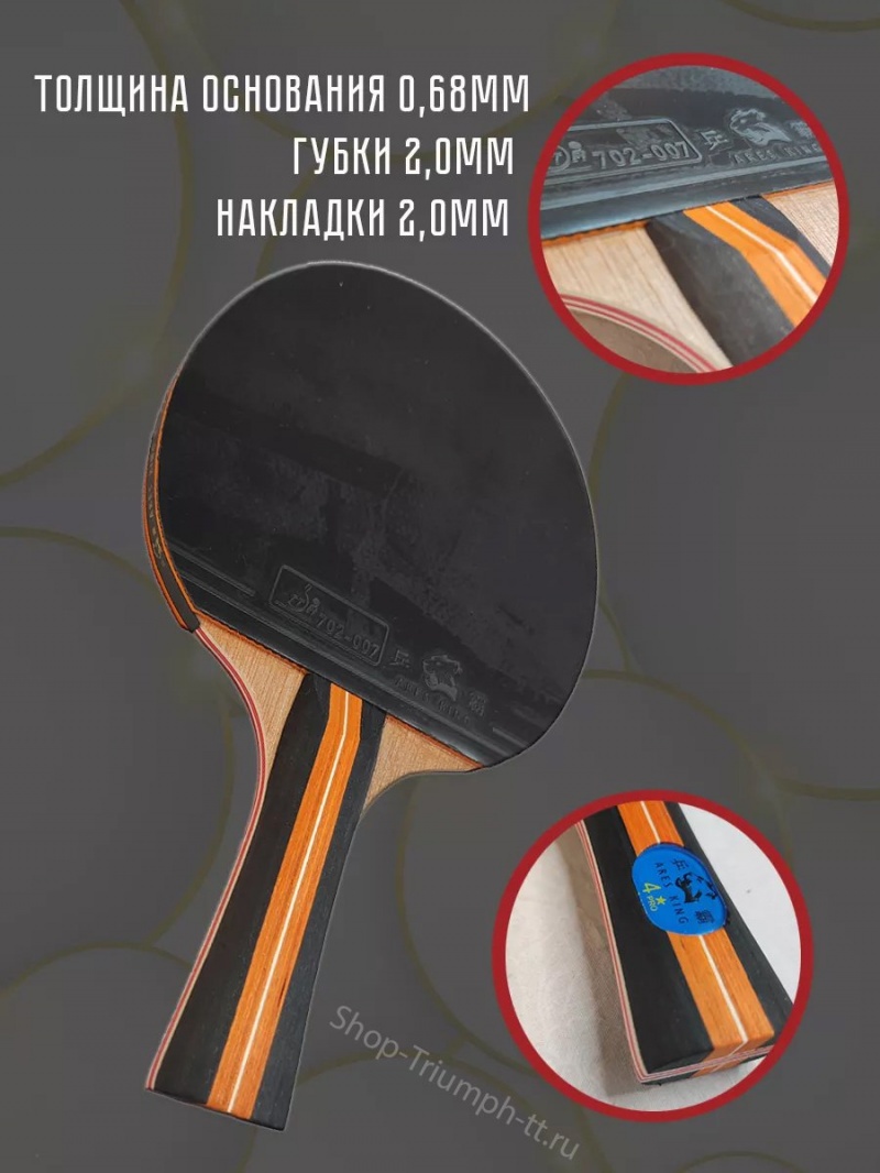 Ракетка ARES KING 4* + чехол