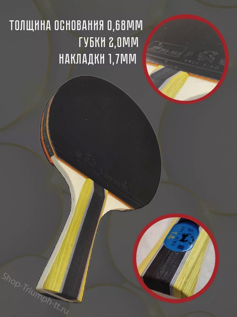 Ракетка ARES KING 1* + чехол