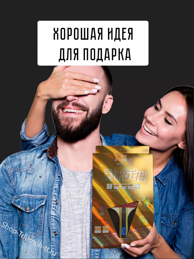Ракетка ARES KING 1* + чехол
